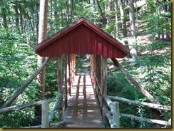 IMG_2695 IMG_2695