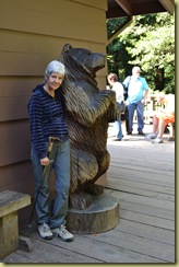 Muir Woods Bear-2