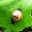 Příroda Jeseníků