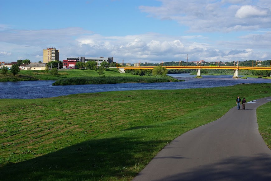 IMGP8979.JPG