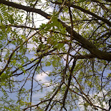 05062010040.jpg