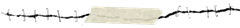 hr_rubens_cantuni_4