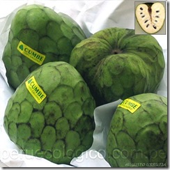 chirimoya
