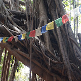 http://www.yogatraumreise.de/yoga_reise_goa_indien/