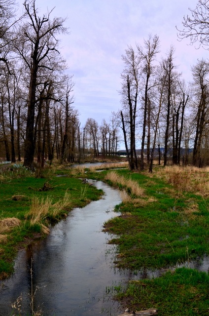 [DSC_0059%255B4%255D.jpg]