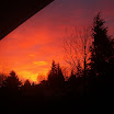 PICT0012.JPG