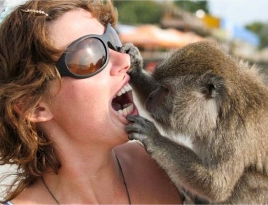 animals-and-humans_04