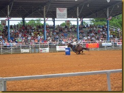 IMG_5540 IMG_5540