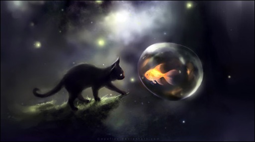 cat-wallpaper cat-wallpaper