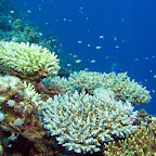 IMG_9524.JPG