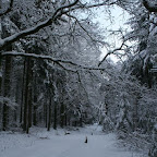 3-1-2010-042.jpg