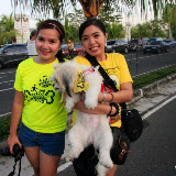 Pet Express Doggie Run 2012 Philippines. Jpg (109).JPG