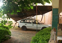 Carport Collapse