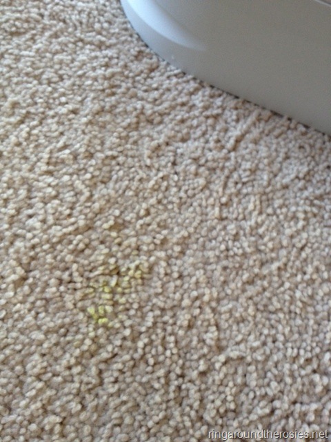 [carpet1%255B7%255D.jpg]