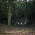 IMG_2725.JPG