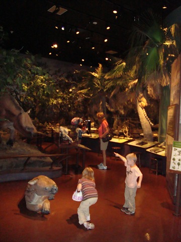 [DSC004123.jpg]