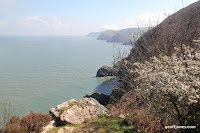 IMG_5998.JPG Photo