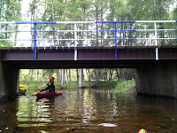 DSC00433.JPG Photo