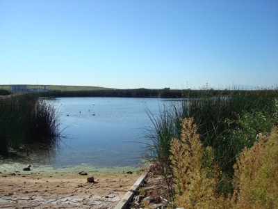 DSC07814