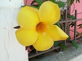GEDC0586.JPG