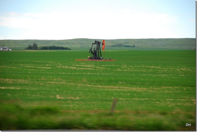 06-25-13 A Travel Lethbridge to Border (8)