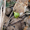 dsc06533.jpg