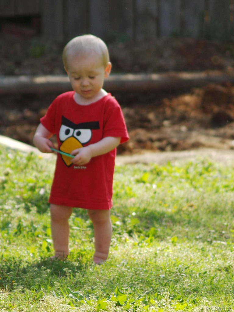 [P1018442_crop%255B8%255D.jpg]