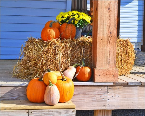 back porch right fall 2013