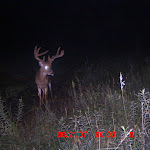ICAM0019 (4).JPG