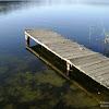 dsc05907.jpg