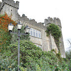 DSC_7461-2.jpg