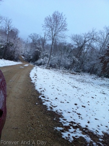 [Snow%255B4%255D.jpg]