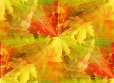 БЕСШОВНЫЕ ФОНЫ F97811d126e5_thumb%25255B1%25255D