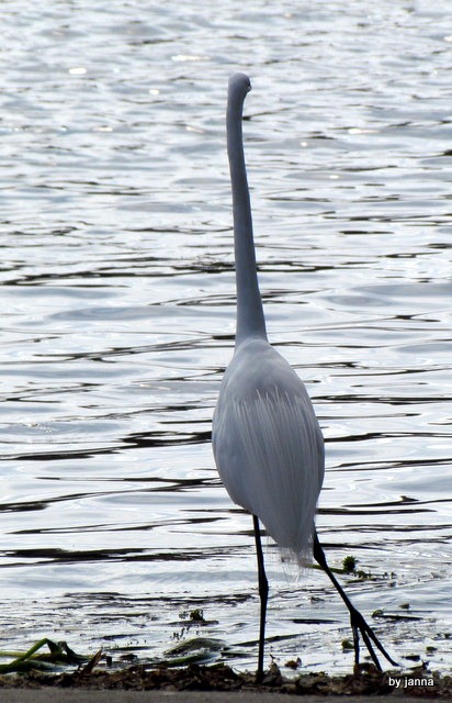 [IMG_1768%255B3%255D.jpg]