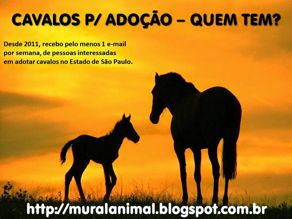 [cavalos-adocao%255B3%255D.jpg]