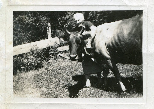 anyone have any good e46 wagon