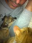 We're thankful for our human who saved us and let's us cuddle with him...