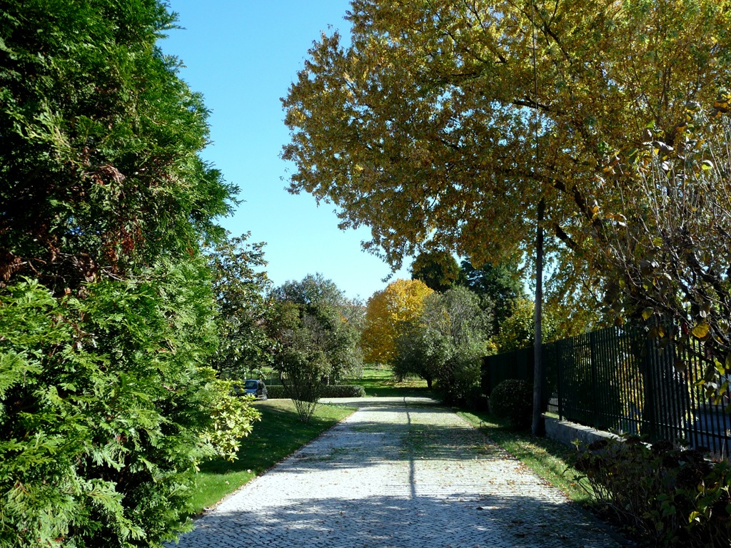 [Gloria%2520Ishizaka%2520-%2520Outono%2520-%2520Funda%25C3%25A7%25C3%25A3o%2520Dion%25C3%25ADsio%2520Pinheiro%2520-%2520Agueda%255B4%255D.jpg]