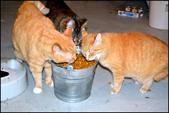 no sharing no sharing