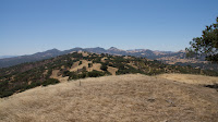 DSC02997.jpg