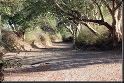 October 22, 2012 Lake Manyara national park