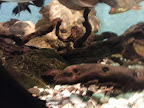IMG_20111214_095612.jpg