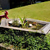 A small pond feature.