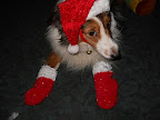 and warm woolen mittens...