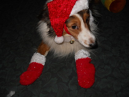 and warm woolen mittens...