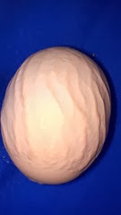 wrinkled egg shell stevens chicken egg