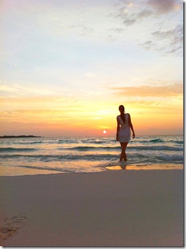 IMG_0745 IMG_0745