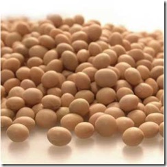 Soy