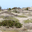 Savane des Pétrifications
