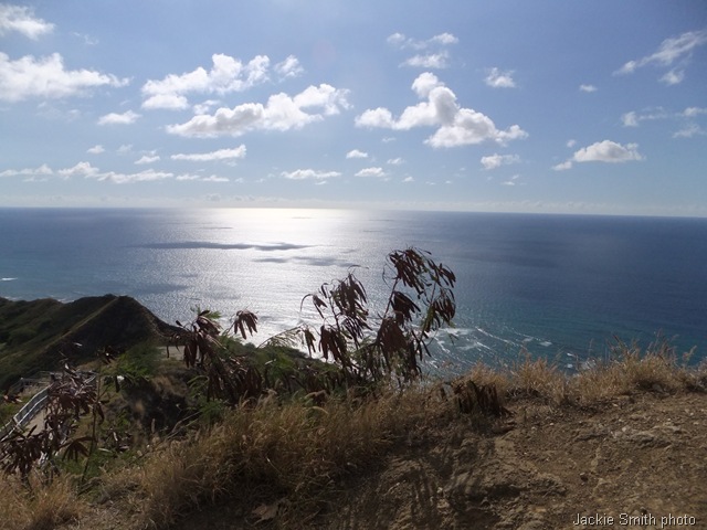 [hawaii20120136.jpg]